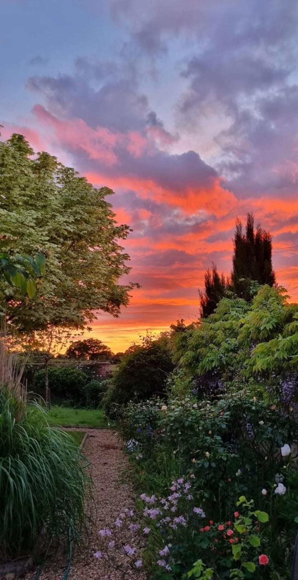 Begonia Cottage Briston Dış mekan fotoğraf